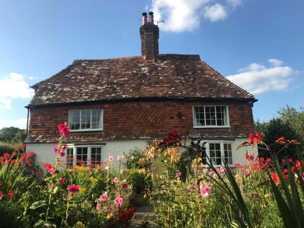 The Studio Wisborough Green ภายนอก รูปภาพ